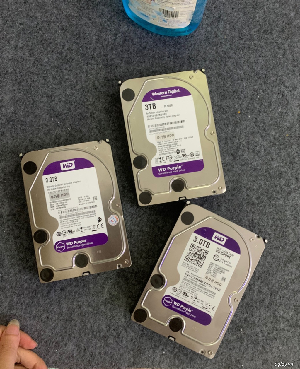 HDD 3TB WD TÍM SK 100% bảo hành 2 năm - 3