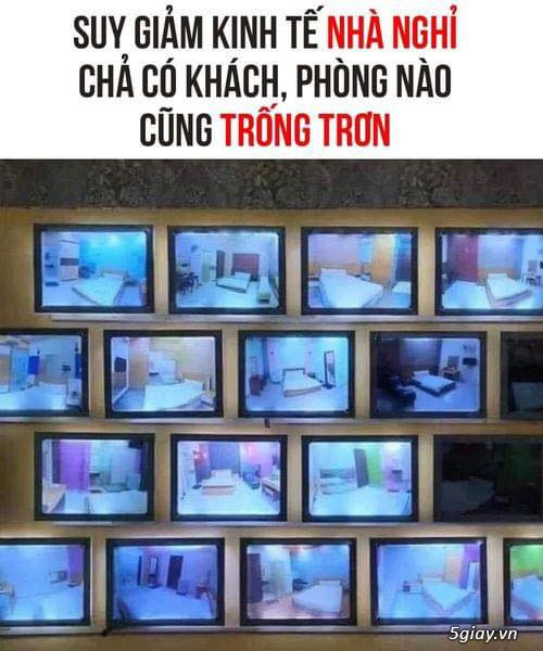 Hình hài hước... Nhiều thể loại vui nhôn - 5