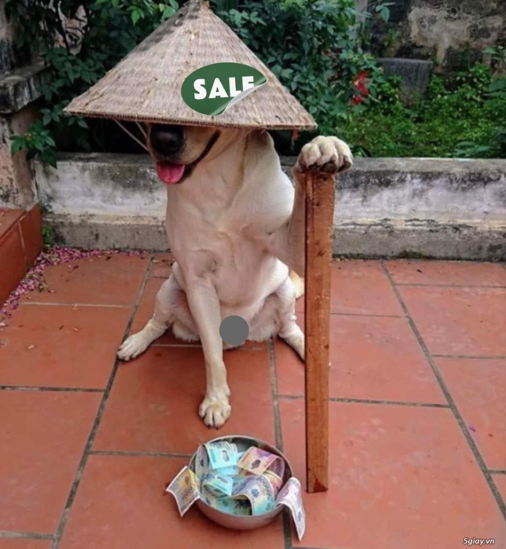 Hình hài hước... Nhiều thể loại vui nhôn - 4