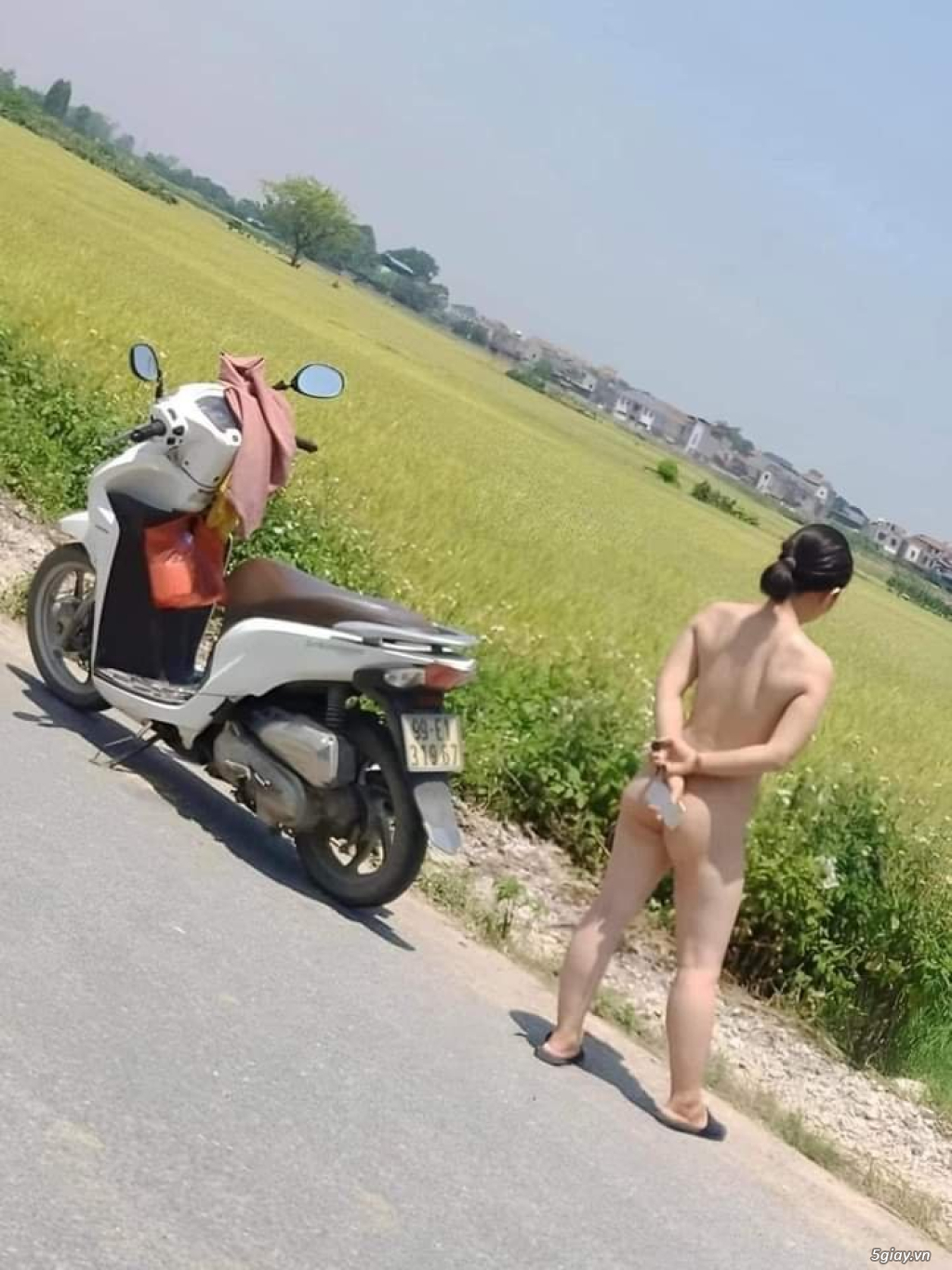 Hình hài hước... Nhiều thể loại vui nhôn - 1