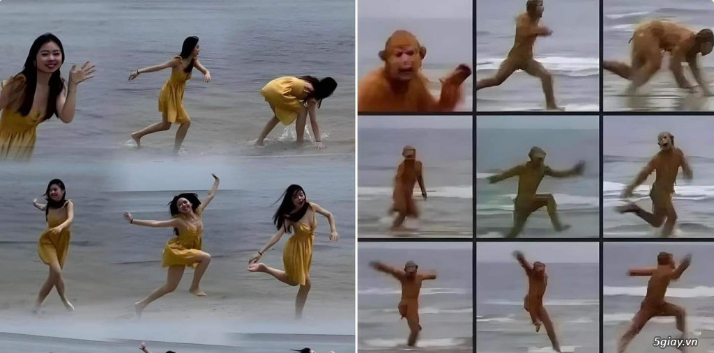 Hình hài hước... Nhiều thể loại vui nhôn