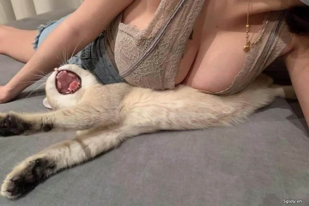Hình hài hước... Nhiều thể loại vui nhôn - 6