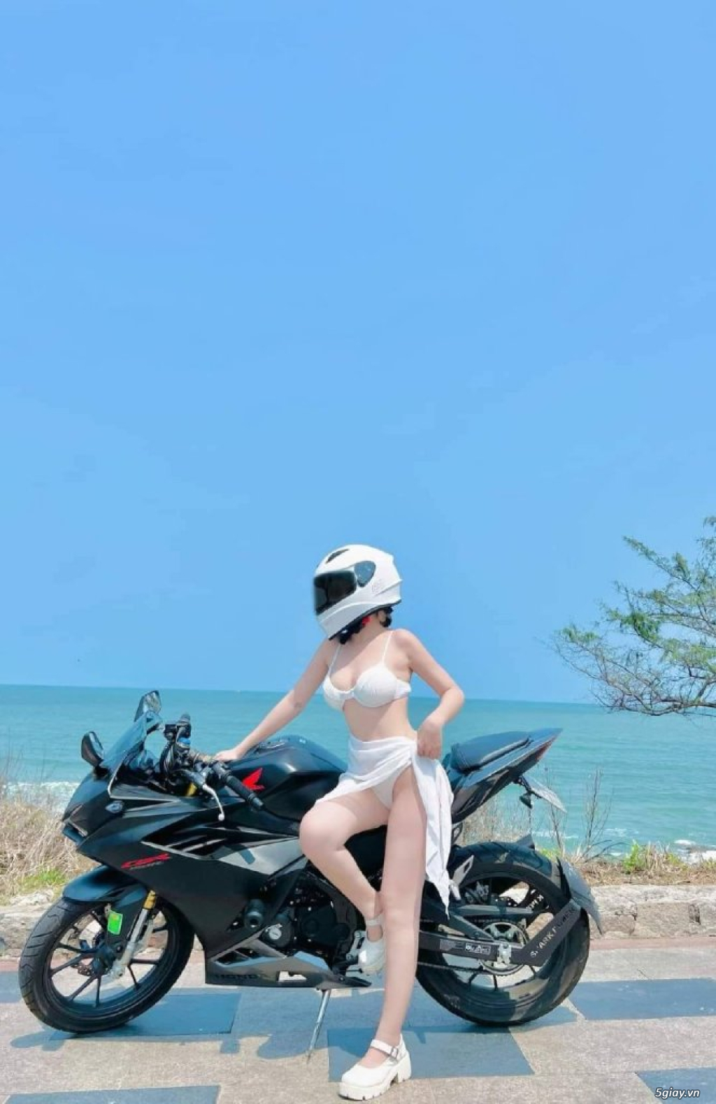 Hình hài hước... Nhiều thể loại vui nhôn - 3