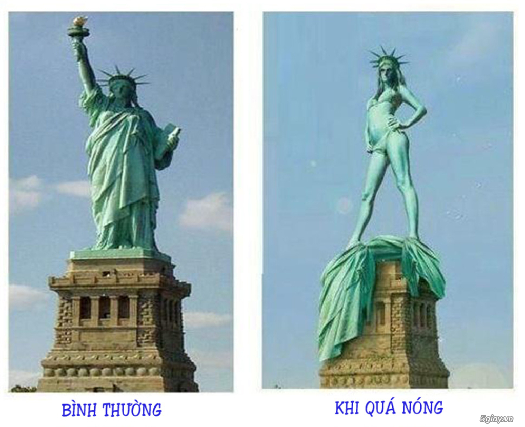 Hình hài hước... Nhiều thể loại vui nhôn