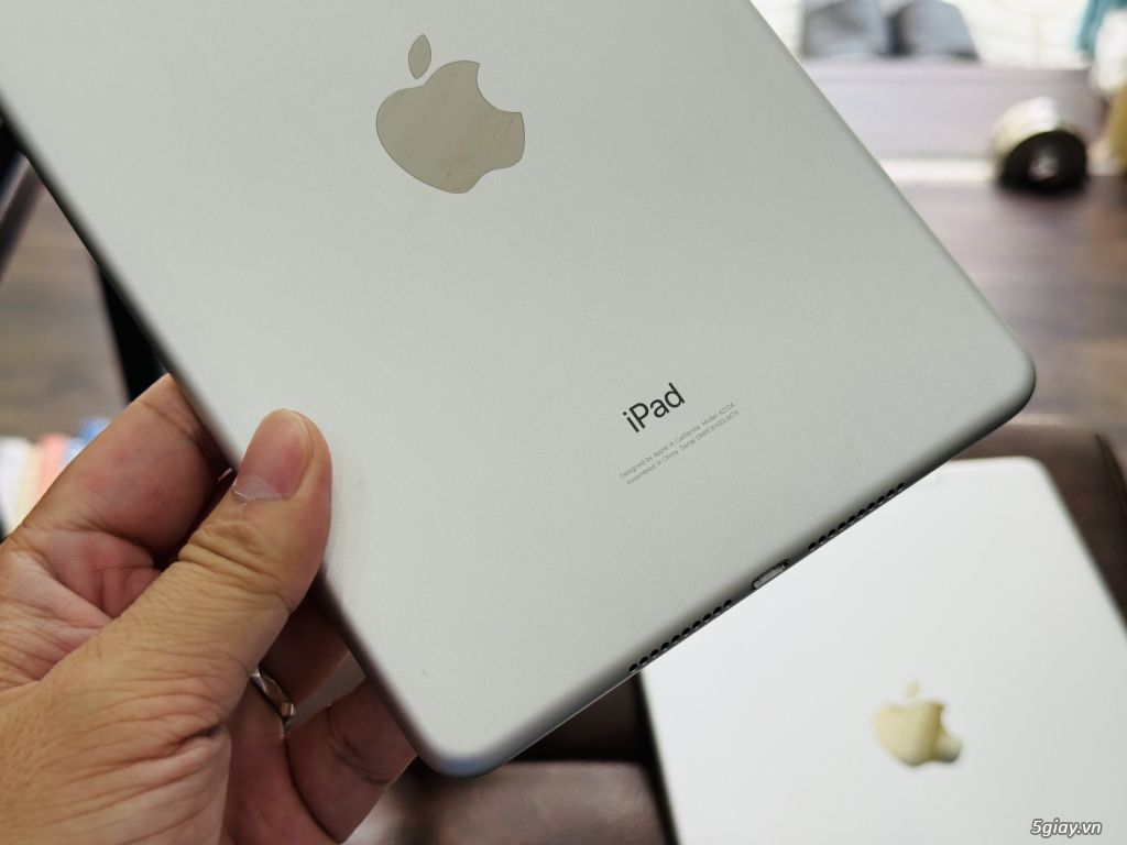 iPad Mini5 64G 4G - 3