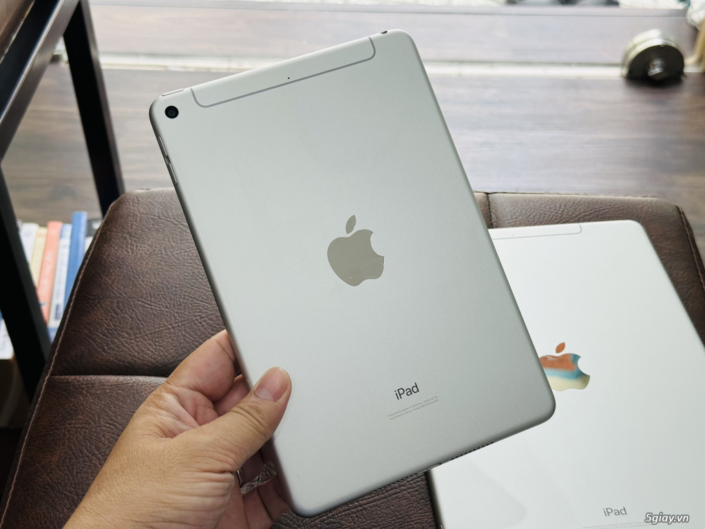 iPad Mini5 64G 4G - 2
