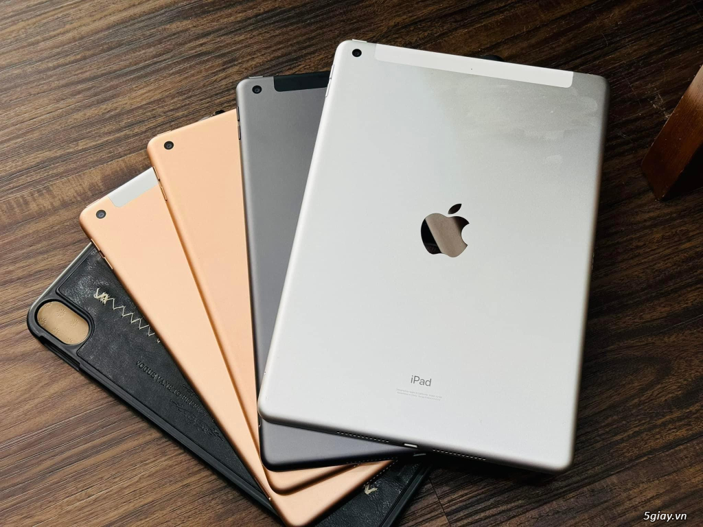 iPad Gen6/7 32G 4G - 2