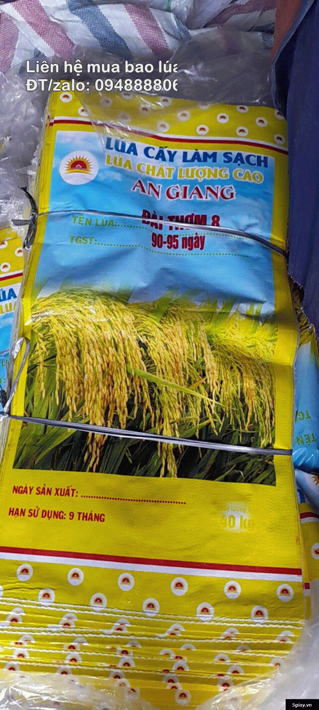 bao lúa giống 40kg an giang - 4