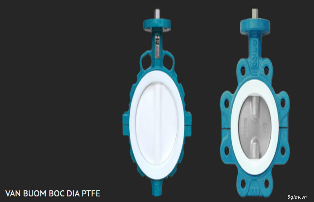 BÁN GIOĂNG PHỚT PTFE - TEFLON THỦY LỰC CƠ GIỚI - 2