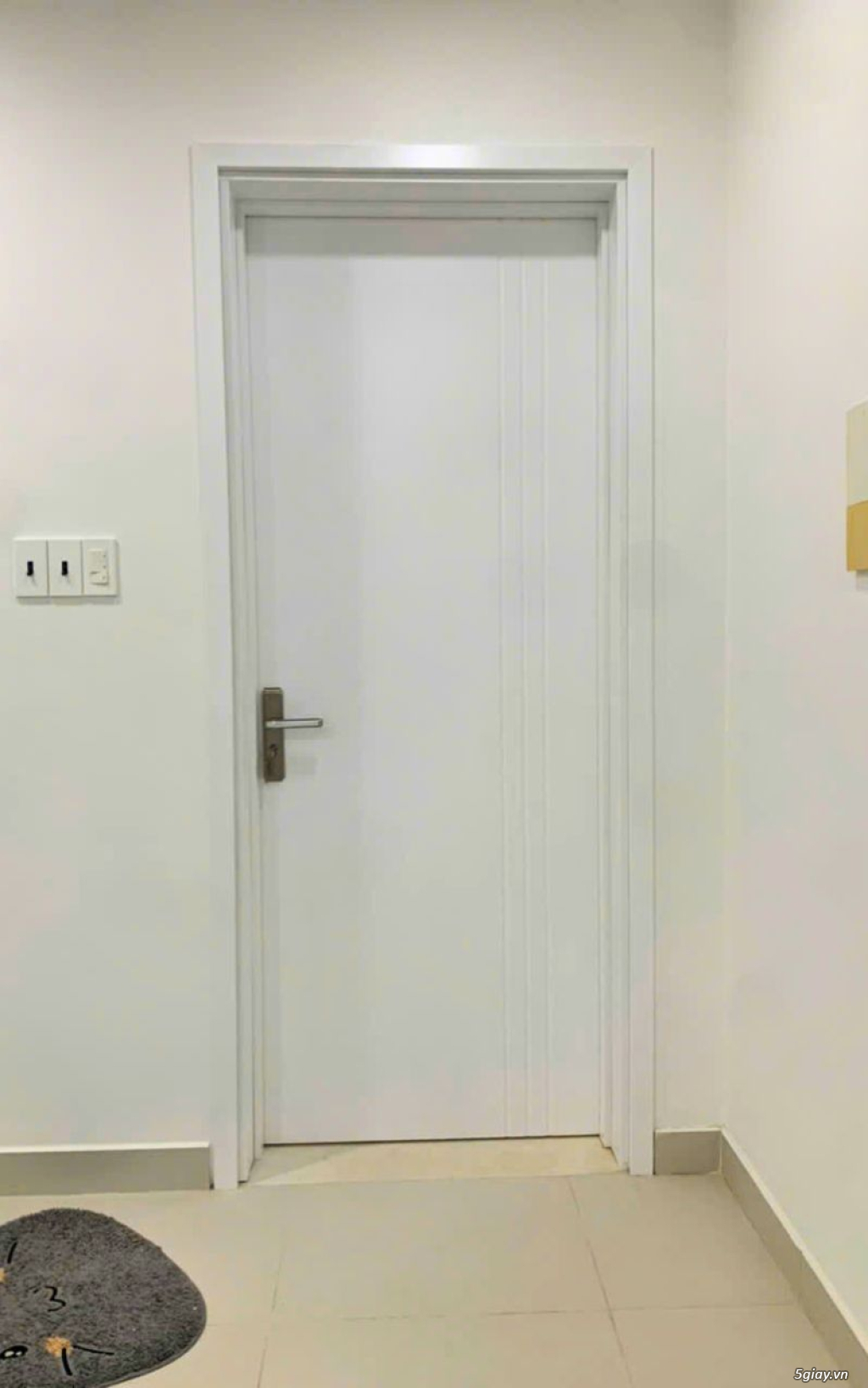 Cửa nhựa Composite - Sơn PU - 3