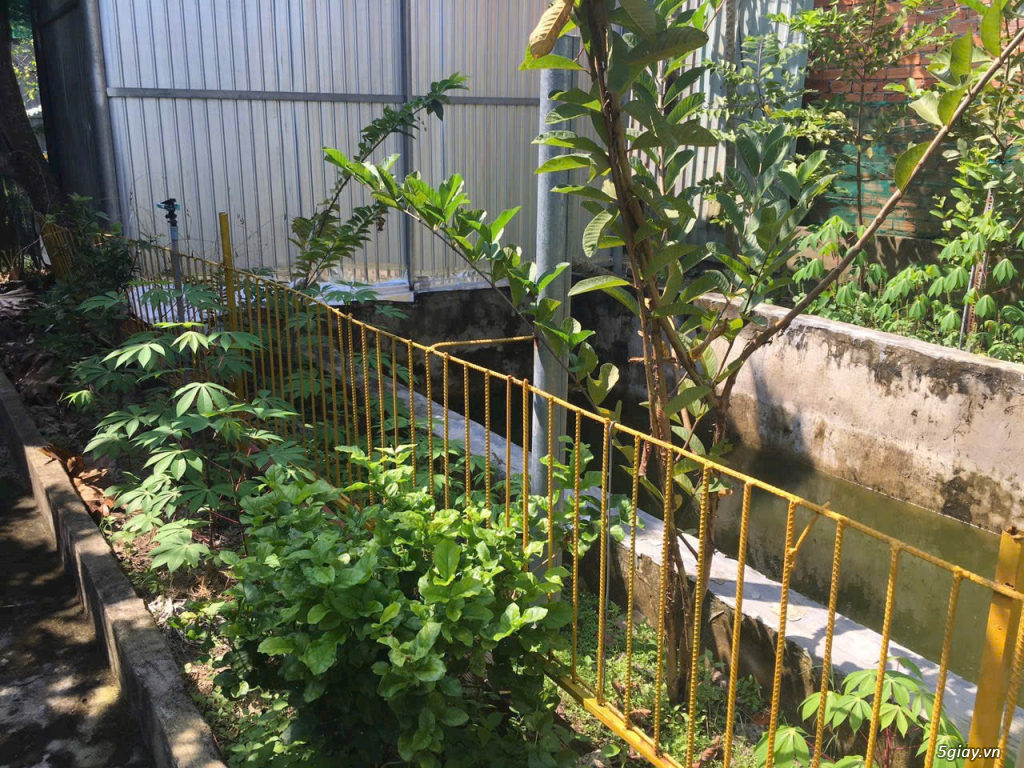 Bán lô đất đường Phan Thị Vẽ, An Nhơn Tây, Củ Chi - 7