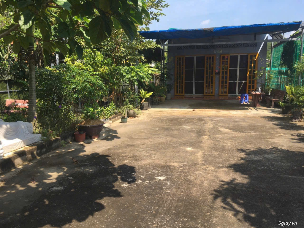 Bán lô đất đường Phan Thị Vẽ, An Nhơn Tây, Củ Chi - 3