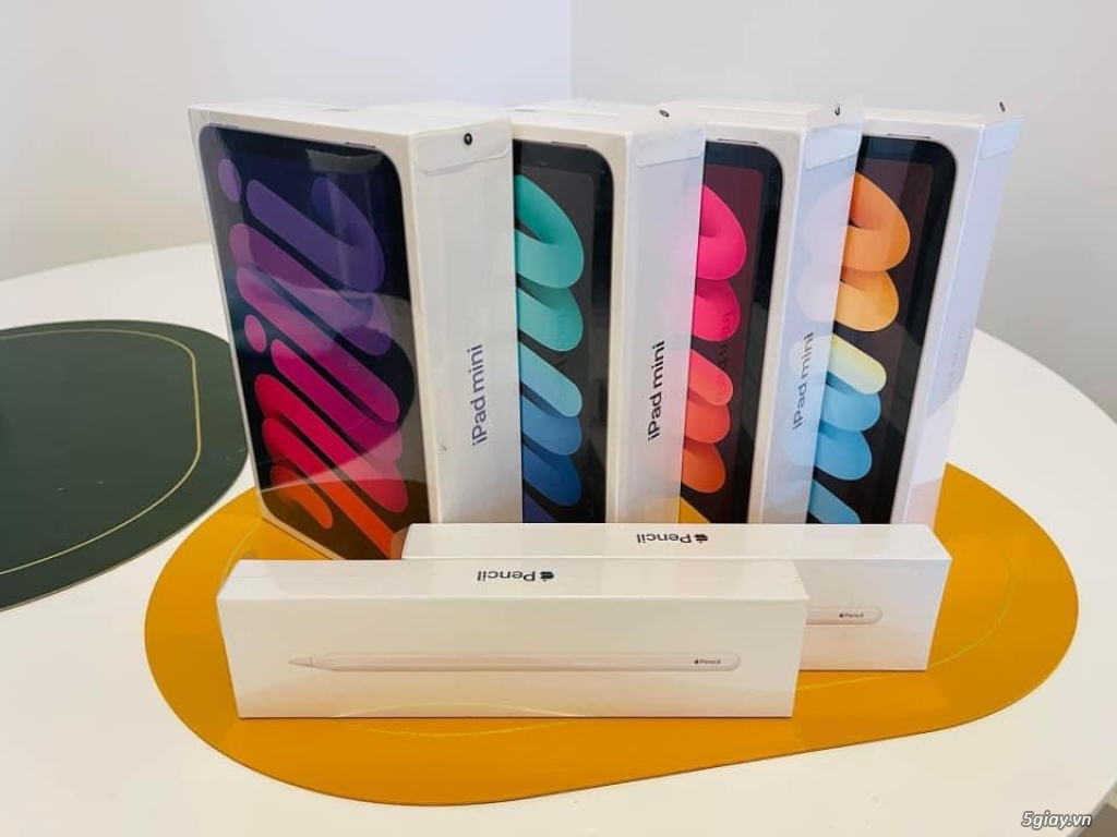 iPad Mini6 64/256G LL Activeonline