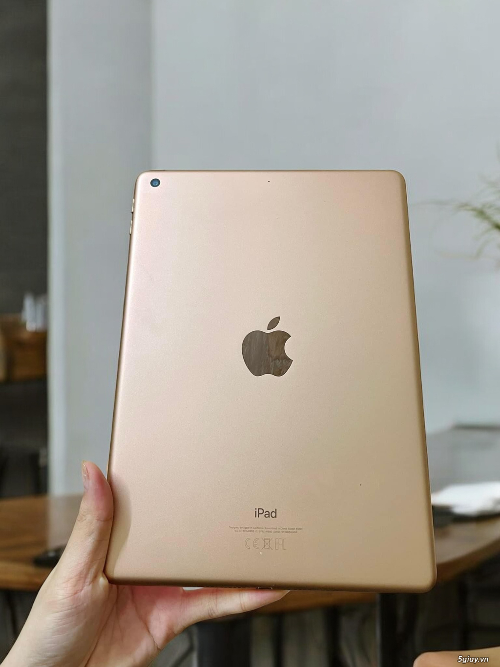 iPad Gen6 32G Wifi Gold - 2
