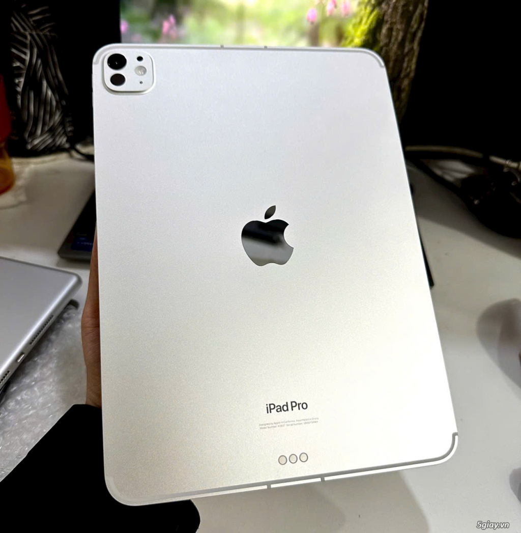 iPad Pro 11 256G 5G - 1