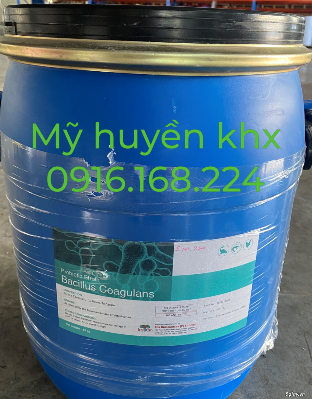 BACILLUS COAGULANS – lợi khuẩn kỵ khí có khả năng tồn tại và sinh trư