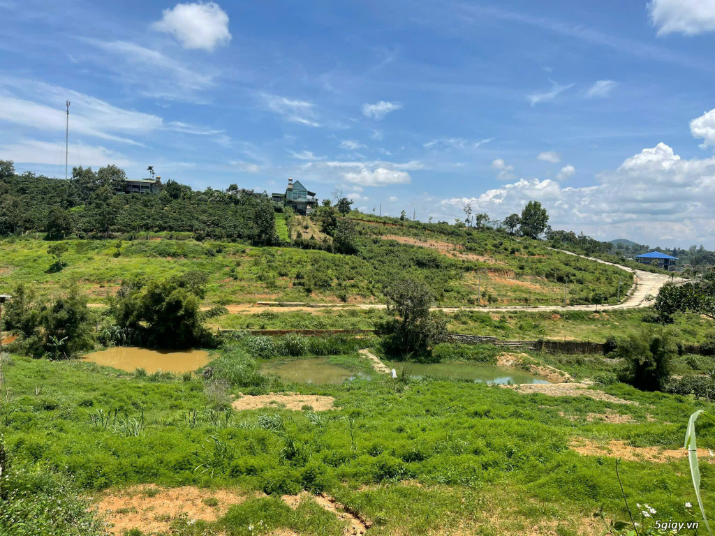 Bán đất thổ cư Đức Trọng 260m2 – 800m2 view sông Đa Nhim , Hồ Đại Ninh - 1