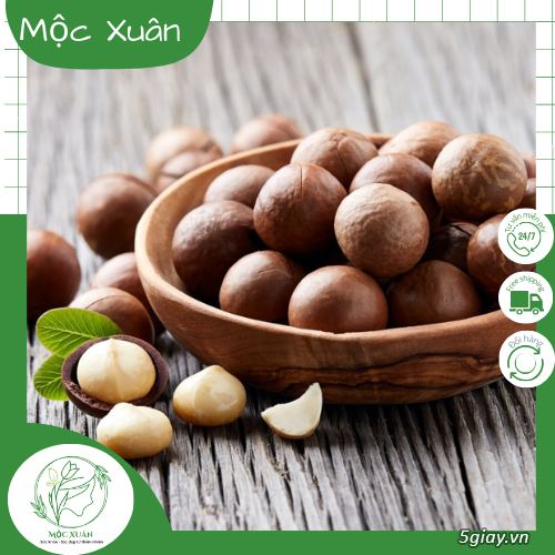 Hạt Macca Trồng Ở Đâu? Khám Phá Những Vùng Đất Macca Nổi Tiếng