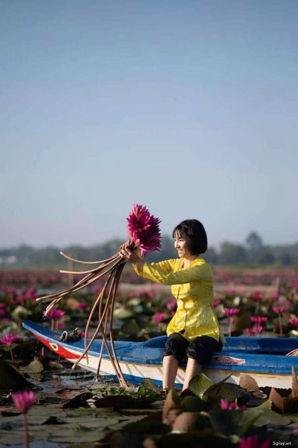 thuê xe 16 chỗ đà lạt 02633919191