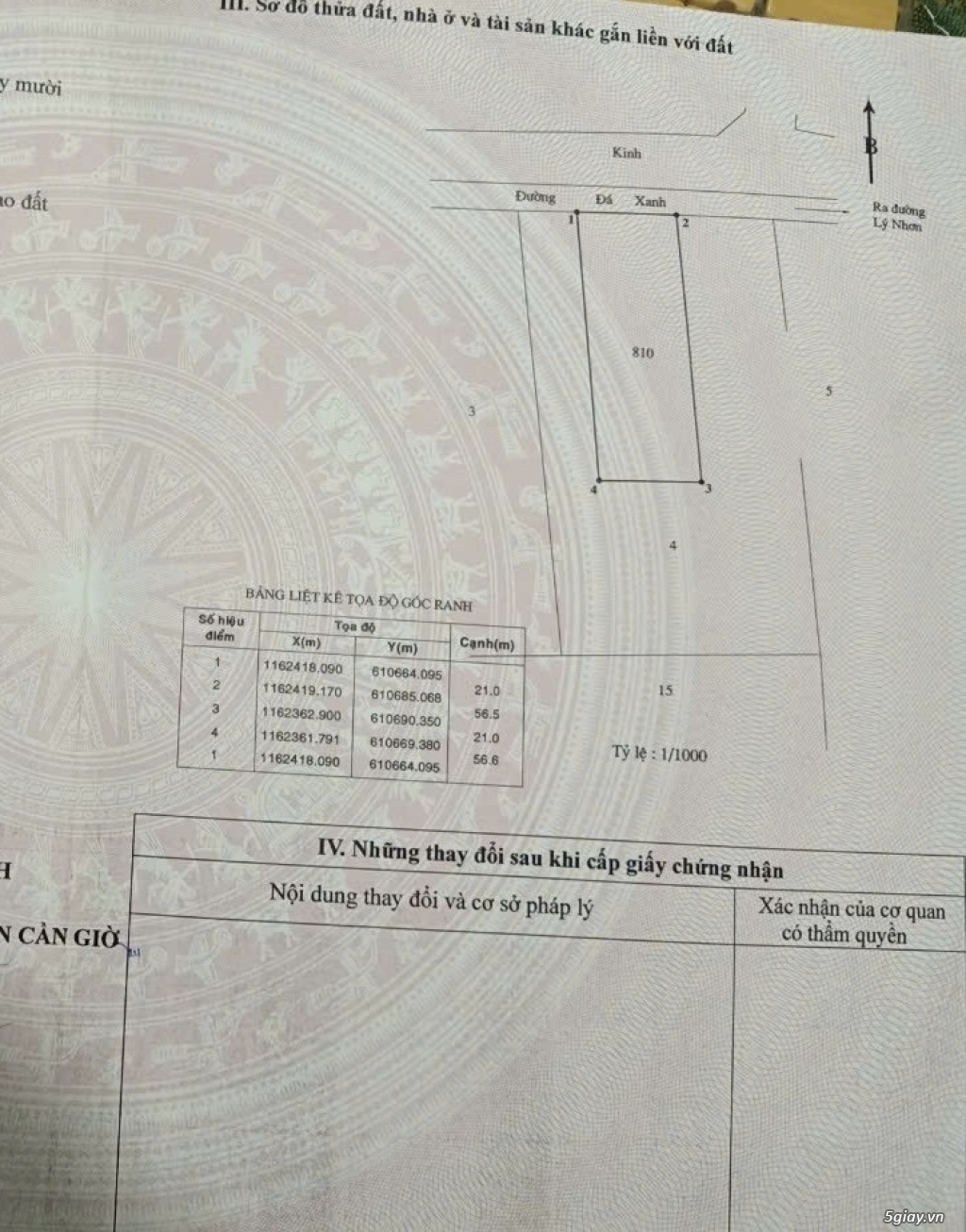 Cần Bán lô đất mặt tiền đường xương cá Lý Nhơn, Cần Giờ - 3