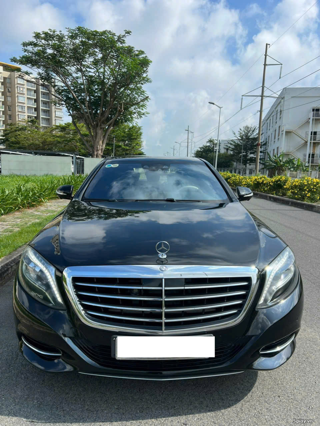 Ảnh số 9