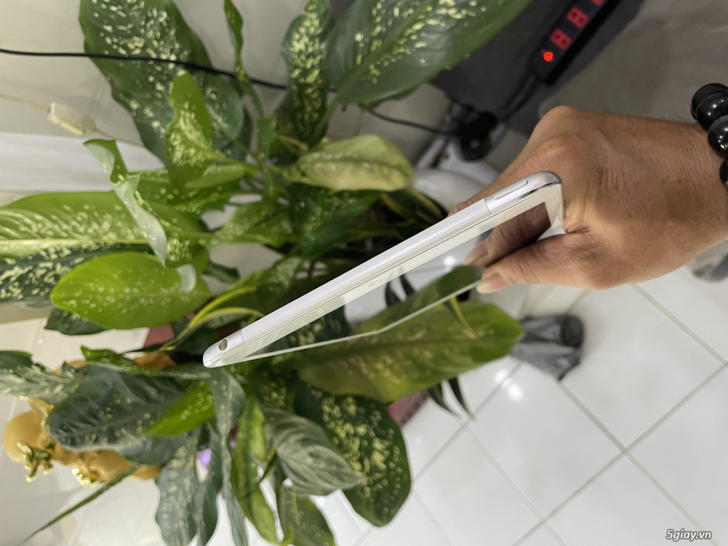 iPad Mini4 128G 4G - 4