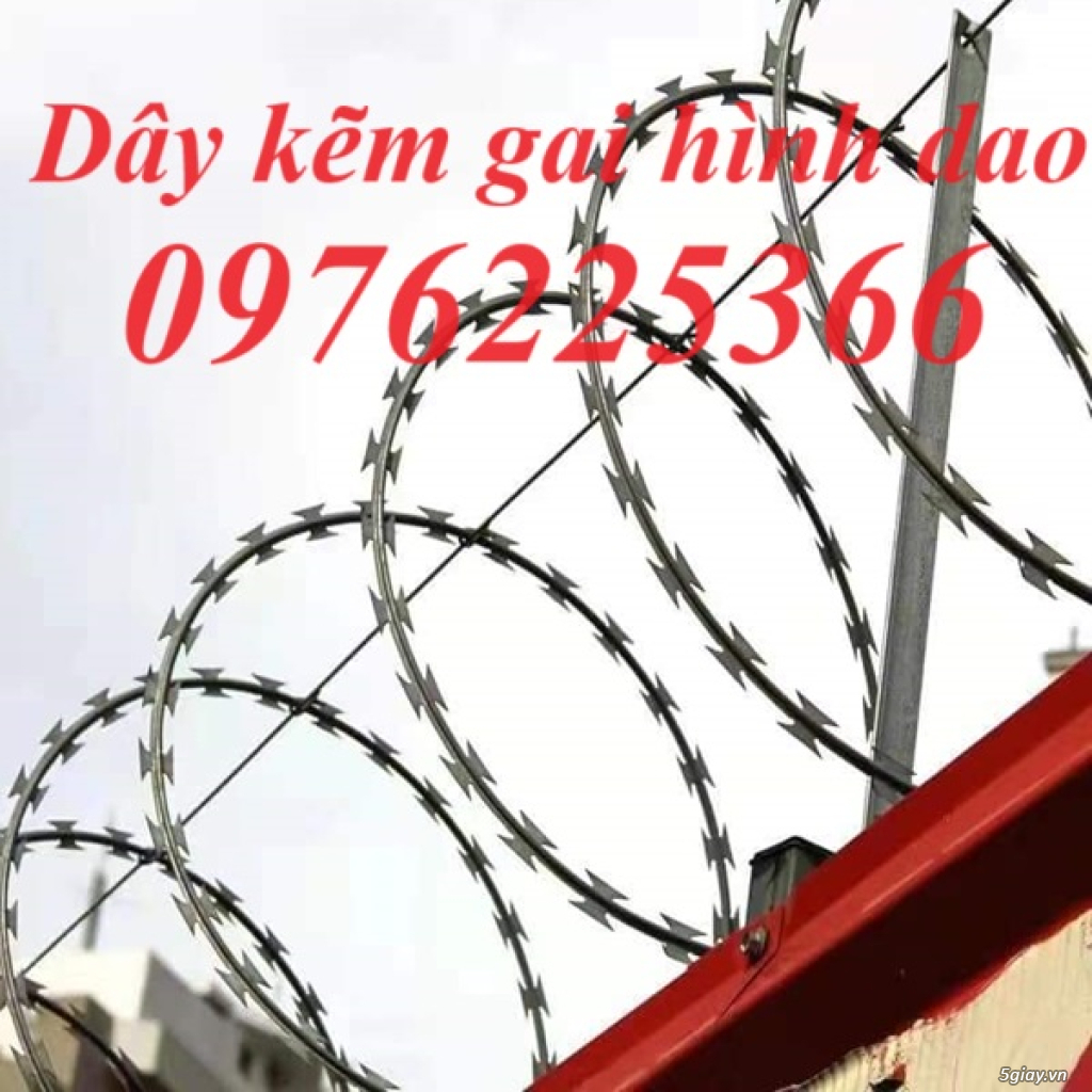 Dây kẽm gai hình dao đường kính 40cm, 50cm, 60cm, 70cm, 80cm - 2