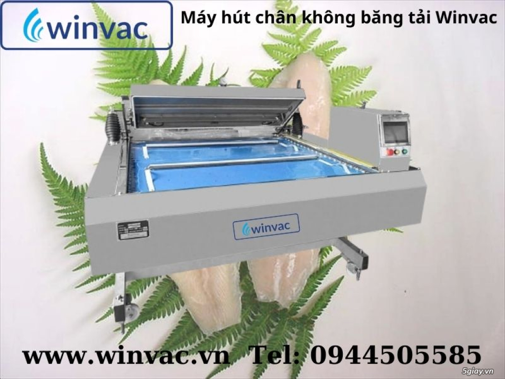 Máy hút chân không băng tải Winvac đóng gói cá tra, ba sa xuất khẩu - 1