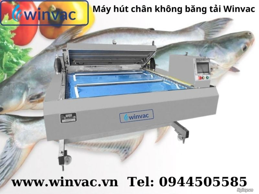 Máy hút chân không băng tải Winvac đóng gói cá tra, ba sa xuất khẩu