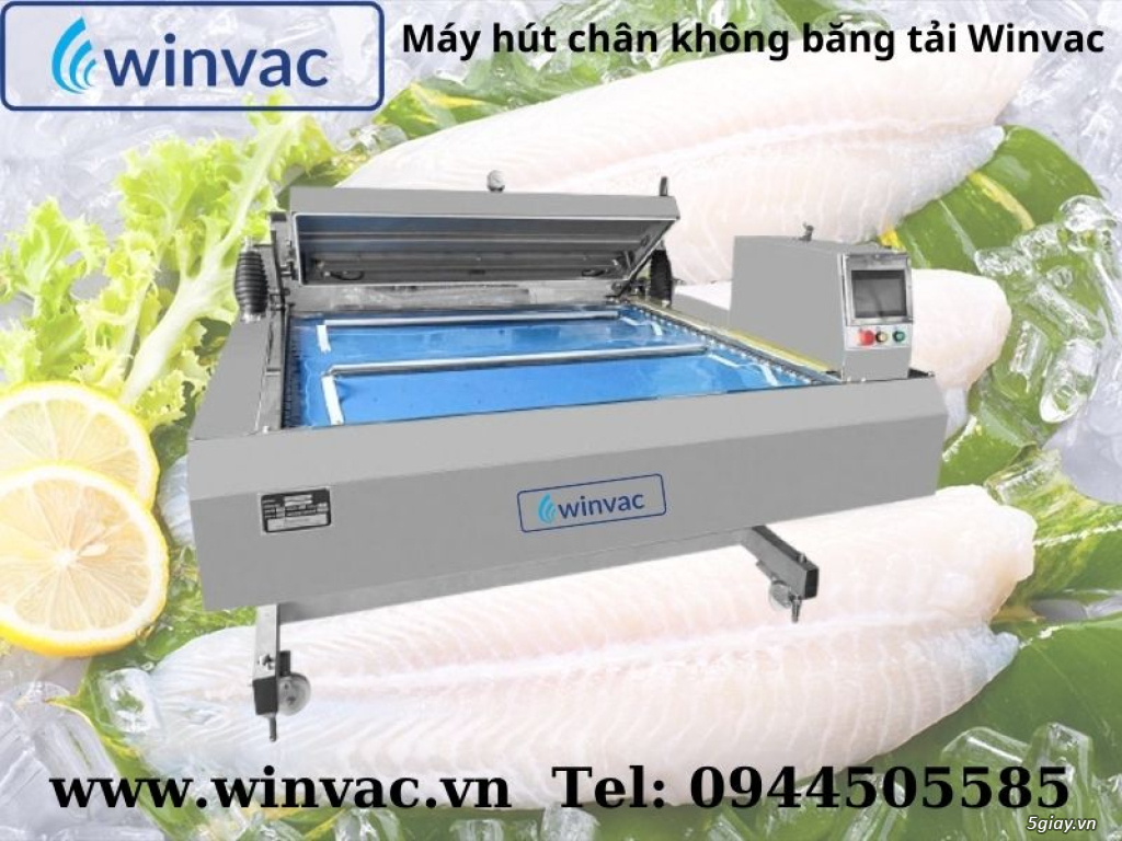 Máy hút chân không băng tải Winvac đóng gói cá tra, ba sa xuất khẩu - 2