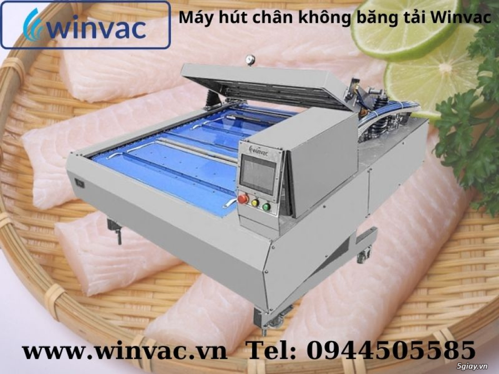 Máy hút chân không băng tải Winvac đóng gói cá tra, ba sa xuất khẩu - 3