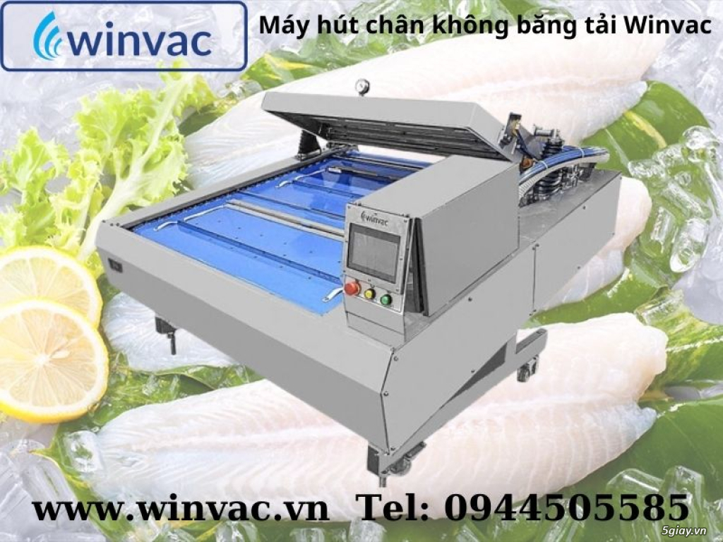 Máy hút chân không băng tải Winvac đóng gói cá tra, ba sa xuất khẩu - 4