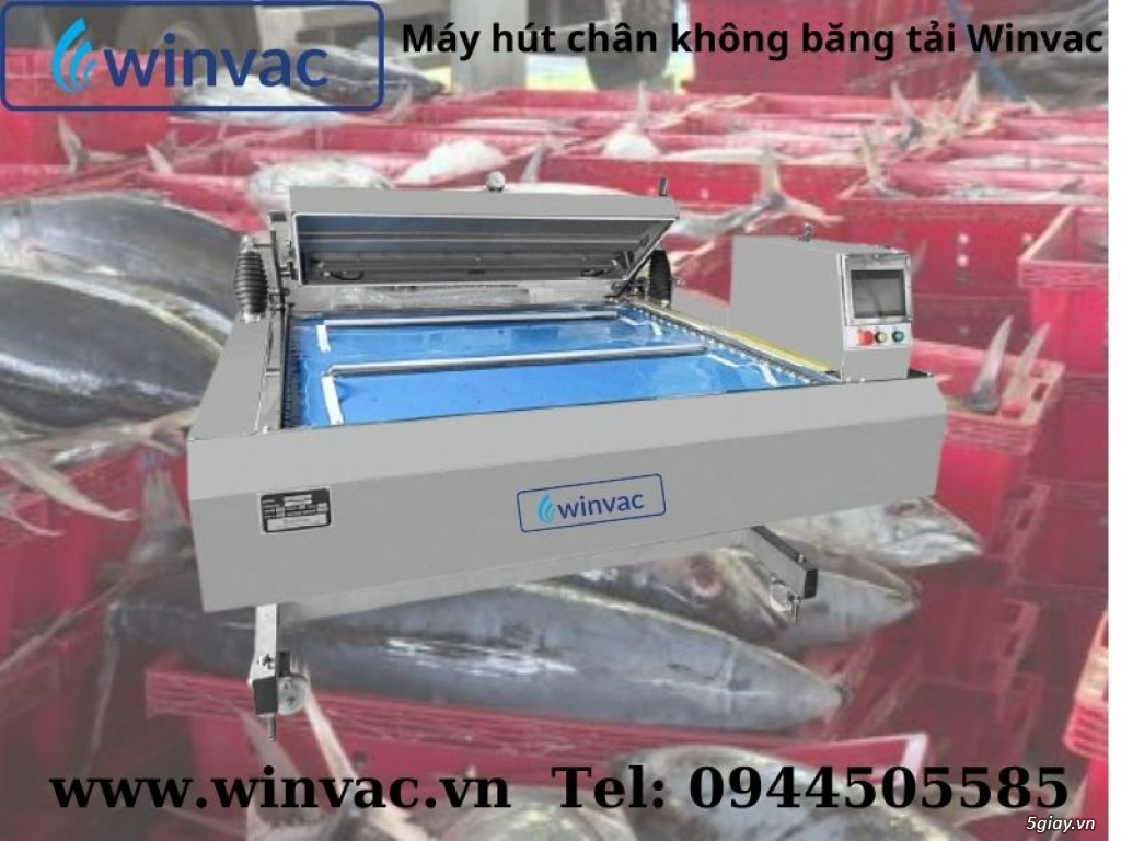 Máy hút chân không băng tải Winvac đóng gói cá ngừ đại dương