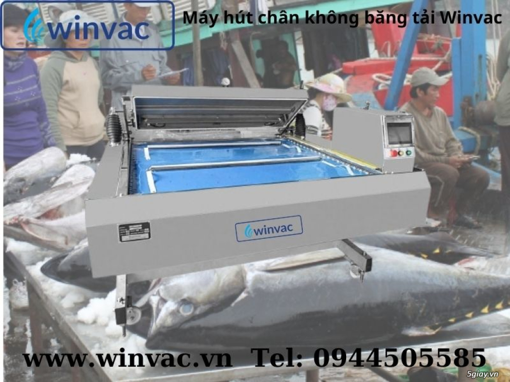 Máy hút chân không băng tải Winvac đóng gói cá ngừ đại dương - 4