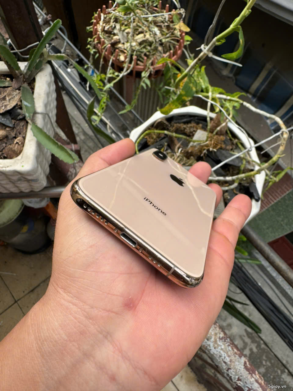 iPhoen Xs Hàng Chuẩn quốc tế iCloud sạch_Pin thay / No face - 3