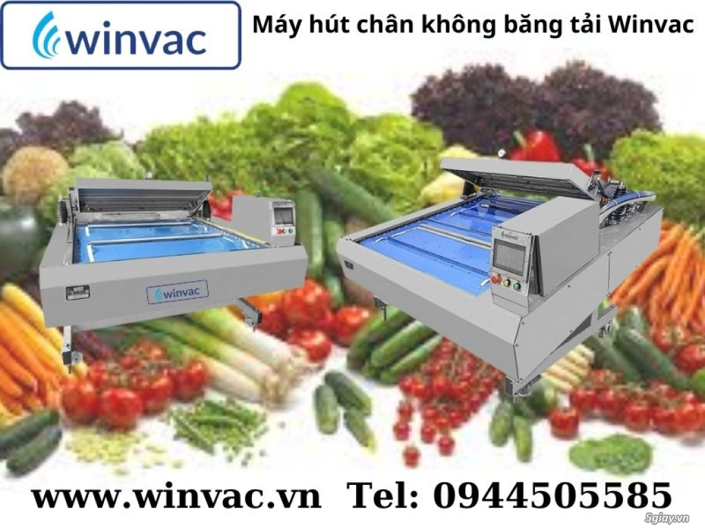 Máy hút chân không băng tải Winvac đóng gói nông sản
