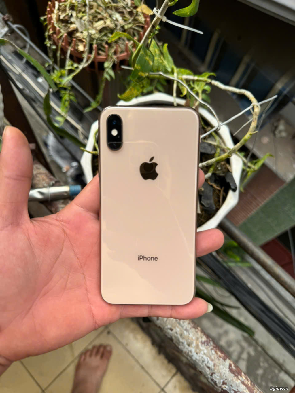 iPhoen Xs Hàng Chuẩn quốc tế iCloud sạch_Pin thay / No face