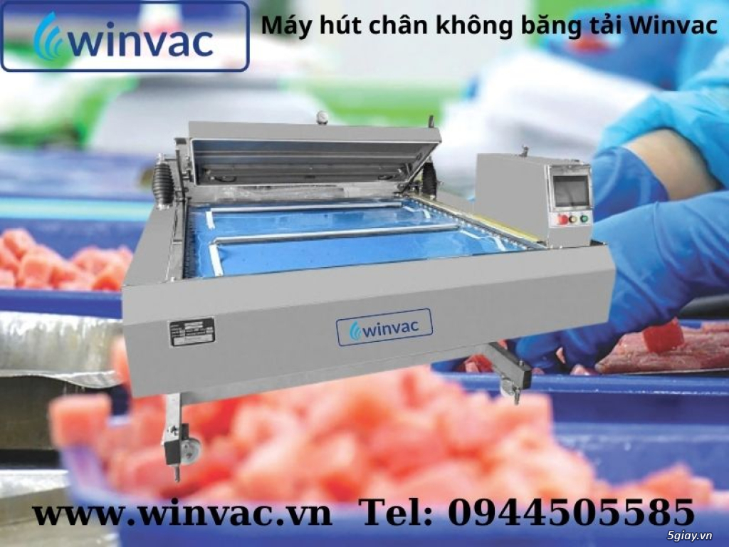 Máy hút chân không băng tải Winvac đóng gói cá ngừ đại dương - 2