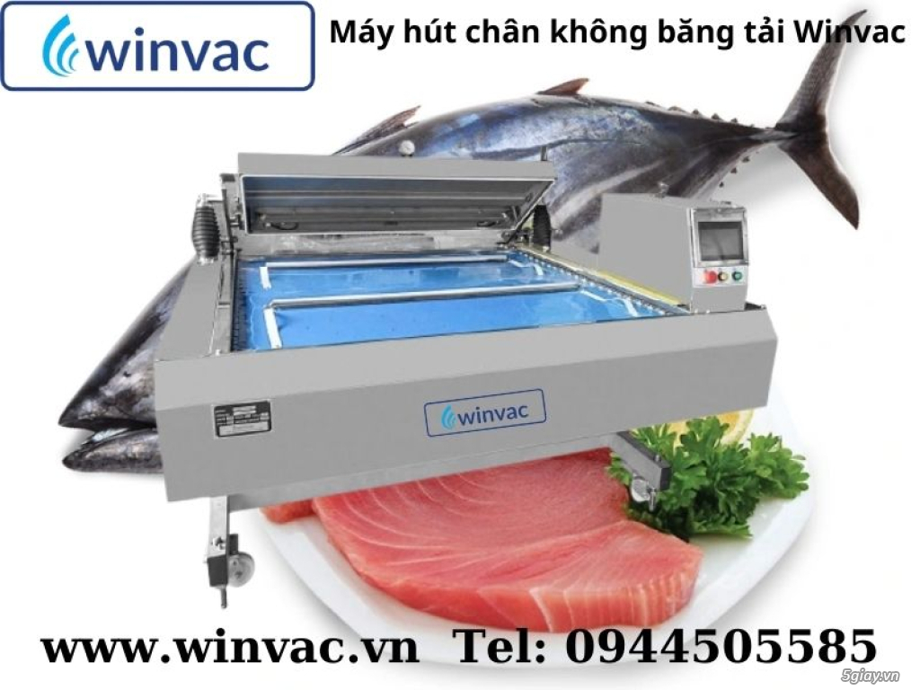 Máy hút chân không băng tải Winvac đóng gói cá ngừ đại dương - 3