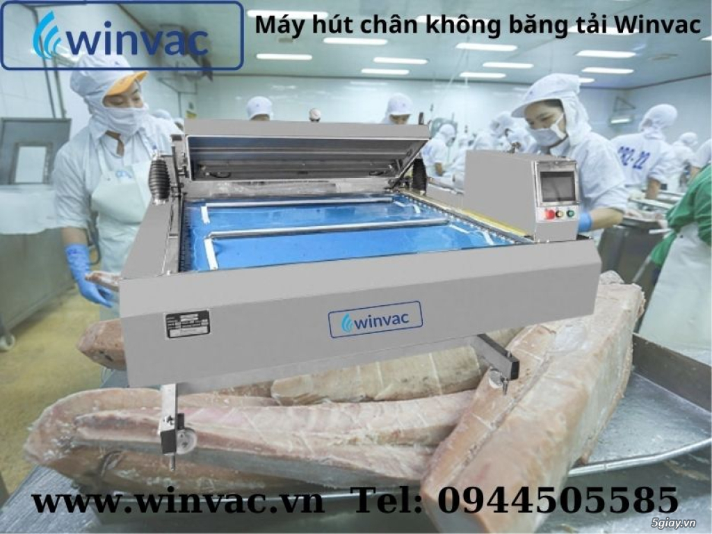 Máy hút chân không băng tải Winvac đóng gói cá ngừ đại dương - 1