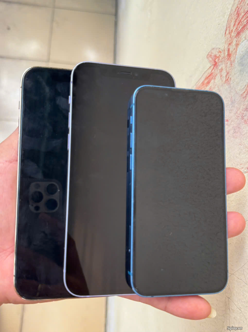 iPhone 12Pro 256gb - 12 128gb và 13mini_Khách thick máy nào ib gửi ảnh - 1