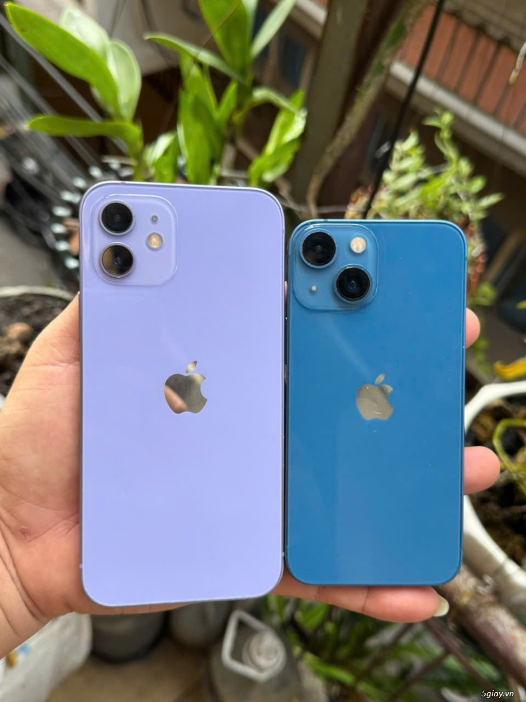 Giữa iPhone 12 và 13mini bộ nhớ 128gb_Máy zin đẹp full chức năng