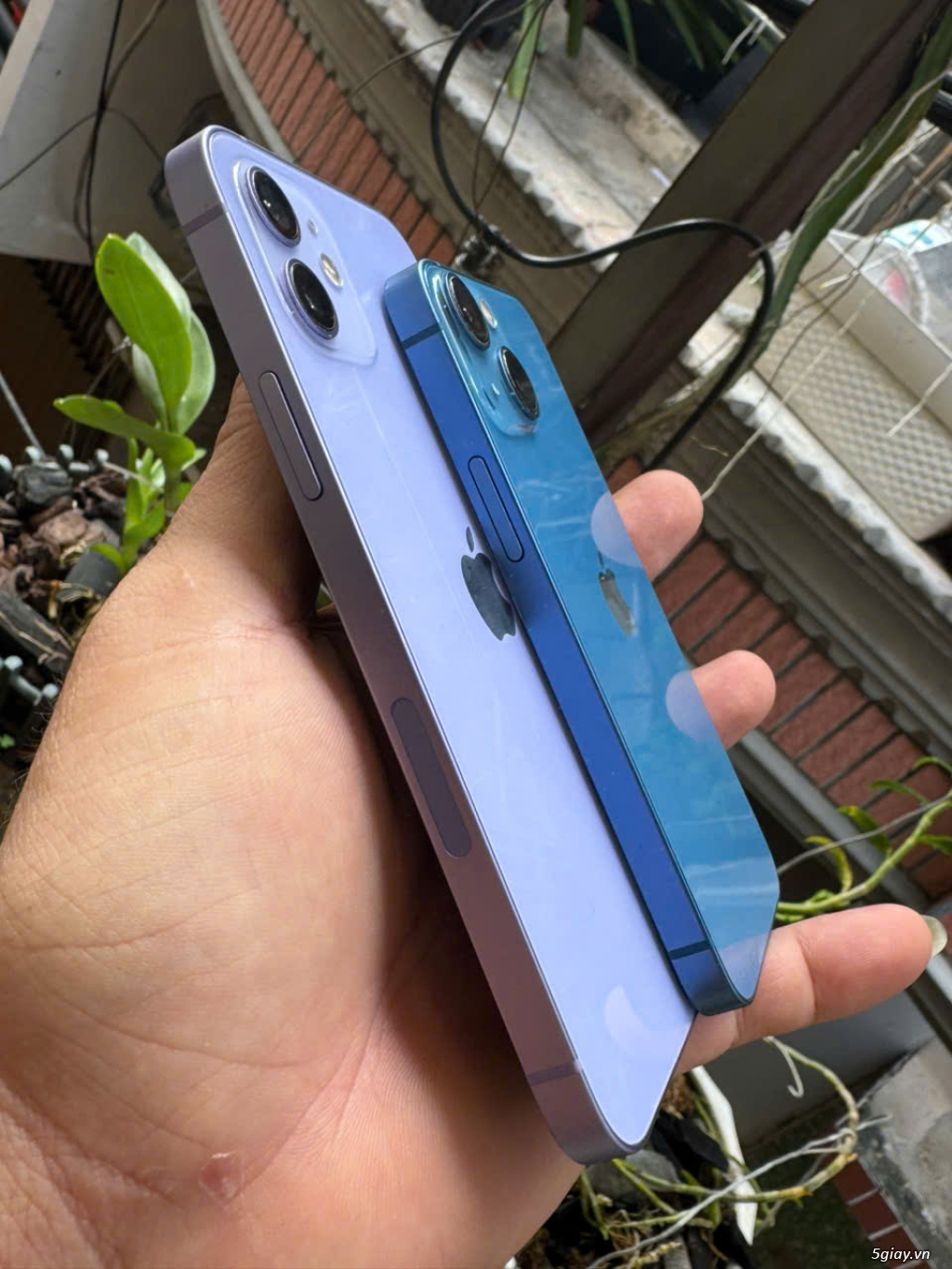 Giữa iPhone 12 và 13mini bộ nhớ 128gb_Máy zin đẹp full chức năng - 1