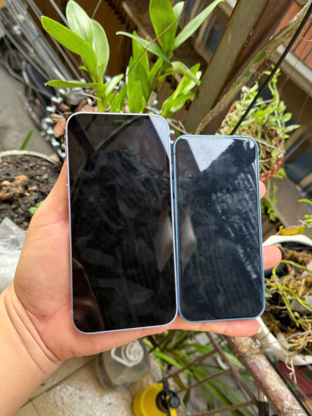Giữa iPhone 12 và 13mini bộ nhớ 128gb_Máy zin đẹp full chức năng - 4