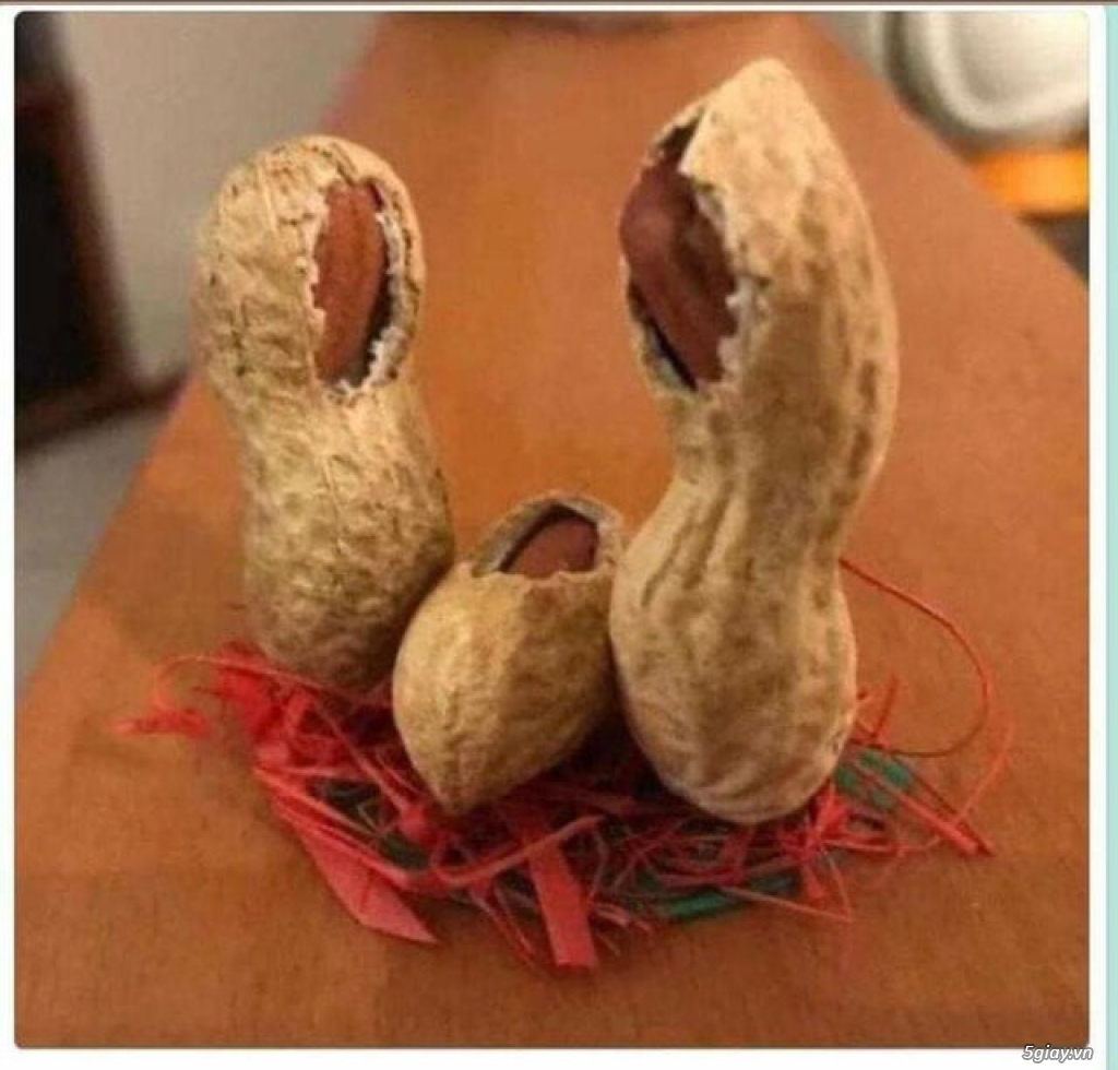 Hình hài hước... Nhiều thể loại vui nhôn - 2