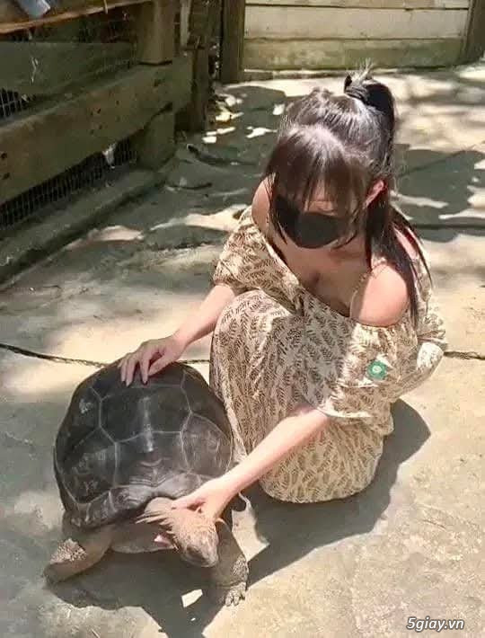 Hình hài hước... Nhiều thể loại vui nhôn
