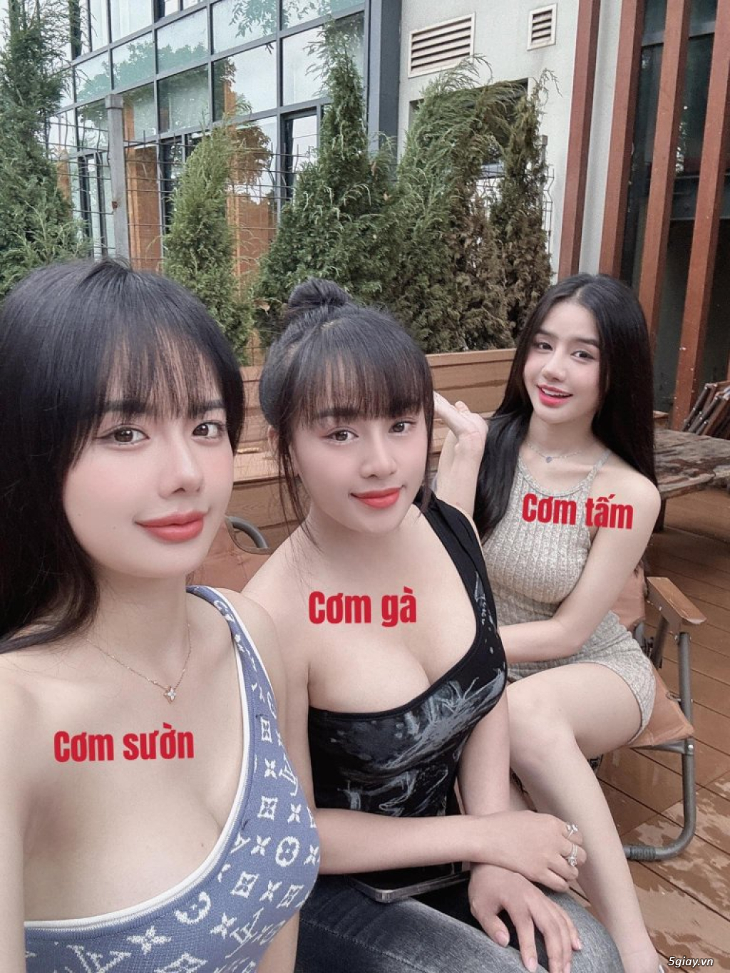 Hình hài hước... Nhiều thể loại vui nhôn - 2