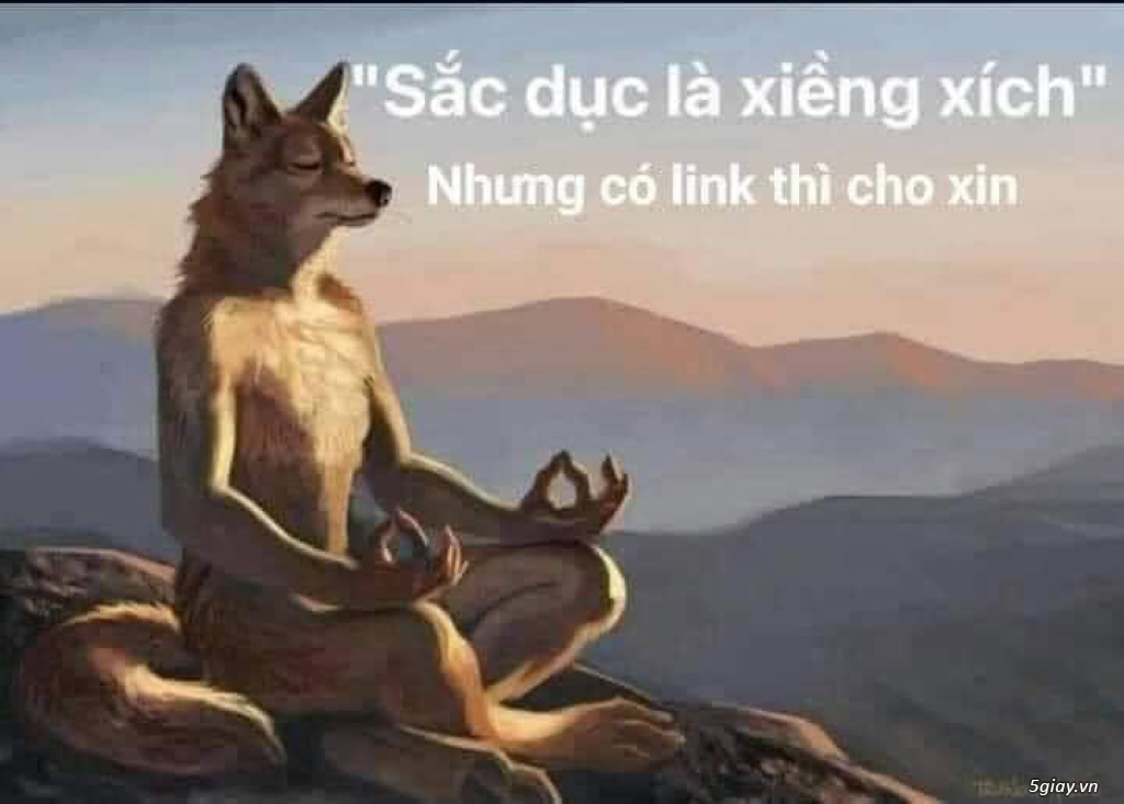 Hình hài hước... Nhiều thể loại vui nhôn - 6