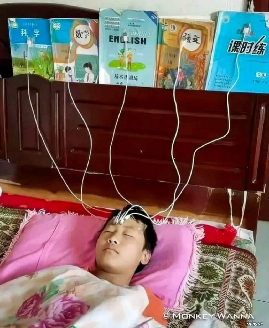 Hình hài hước... Nhiều thể loại vui nhôn - 4