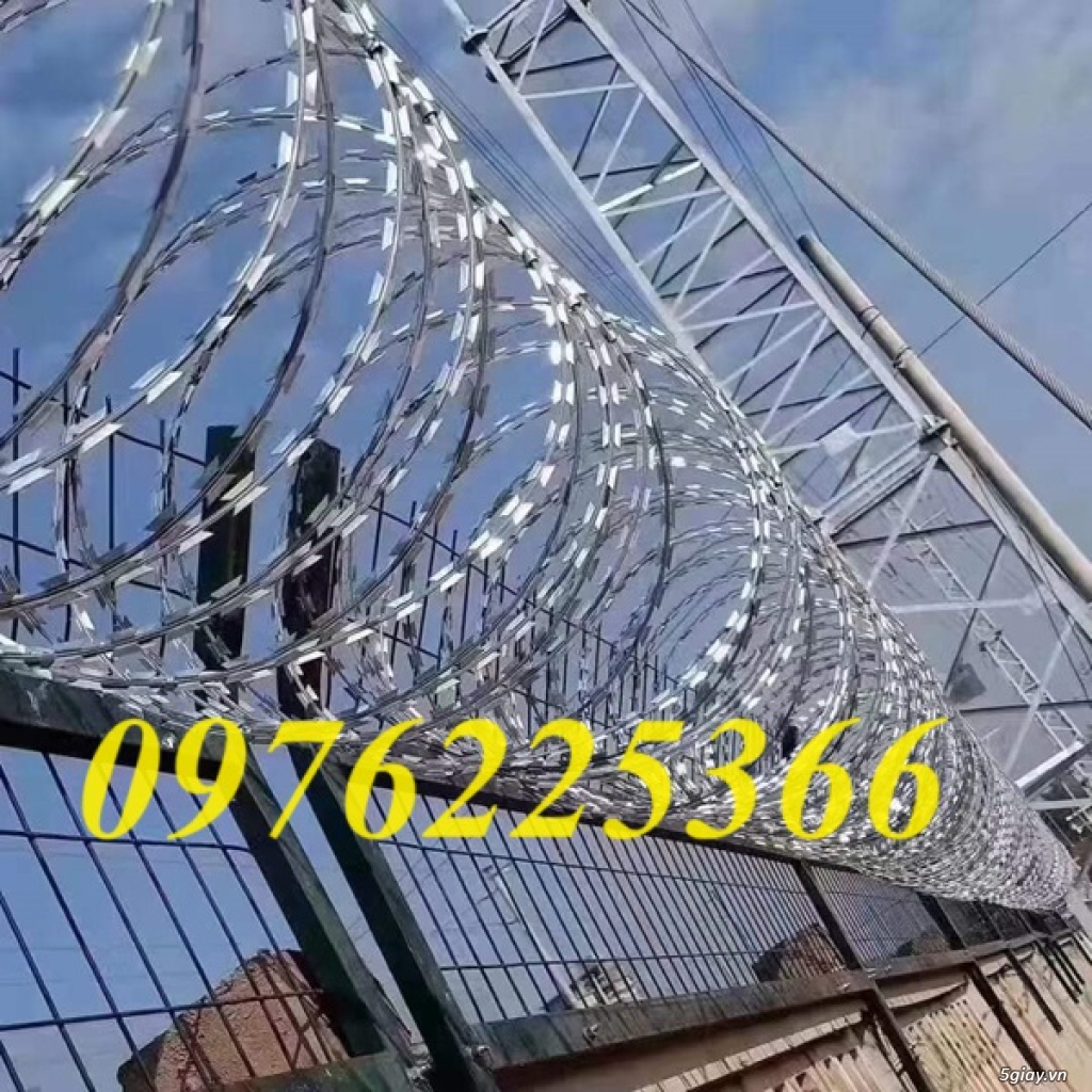 Dây kẽm gai chống trộm đường kính vòng tròn 50cm - 1